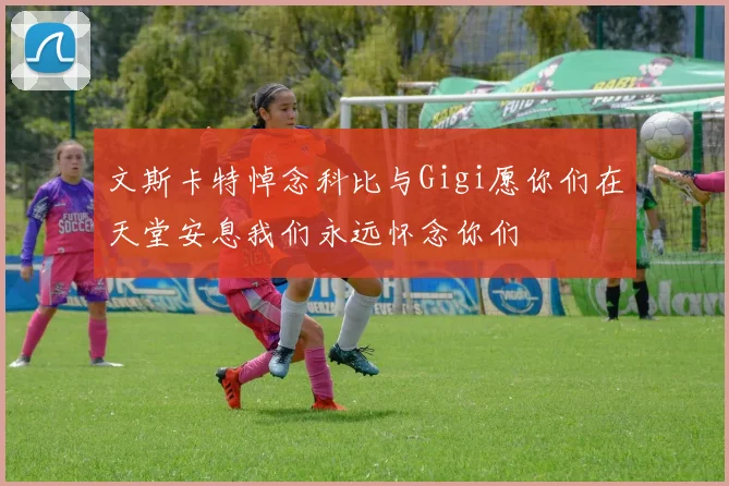 文斯卡特悼念科比与Gigi愿你们在天堂安息我们永远怀念你们